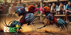 Cược Chấp Trong Đá Gà