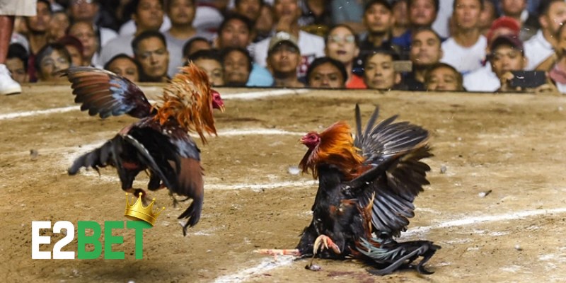 Đăng Ký E2BET